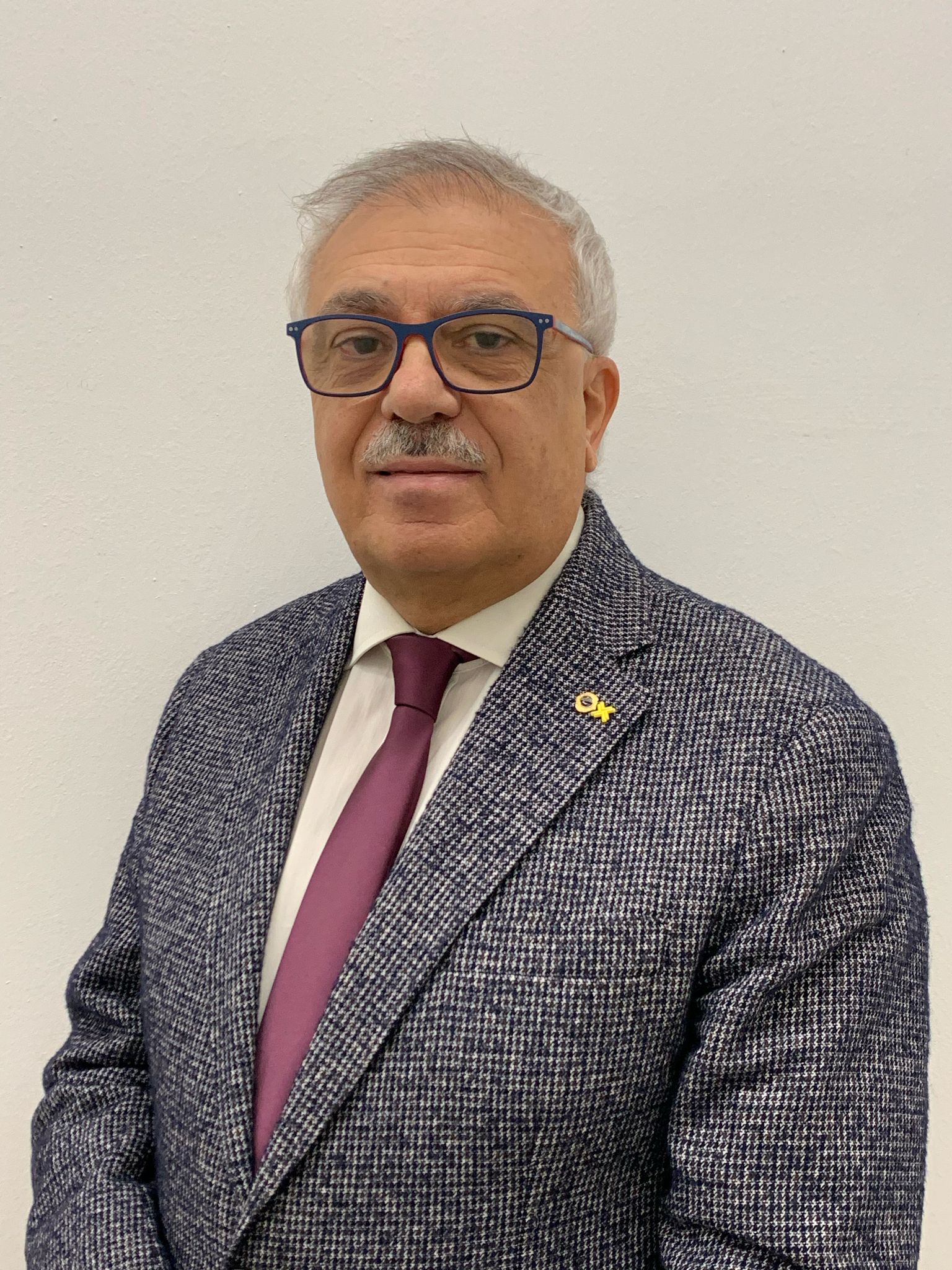 Vincenzo Gareri