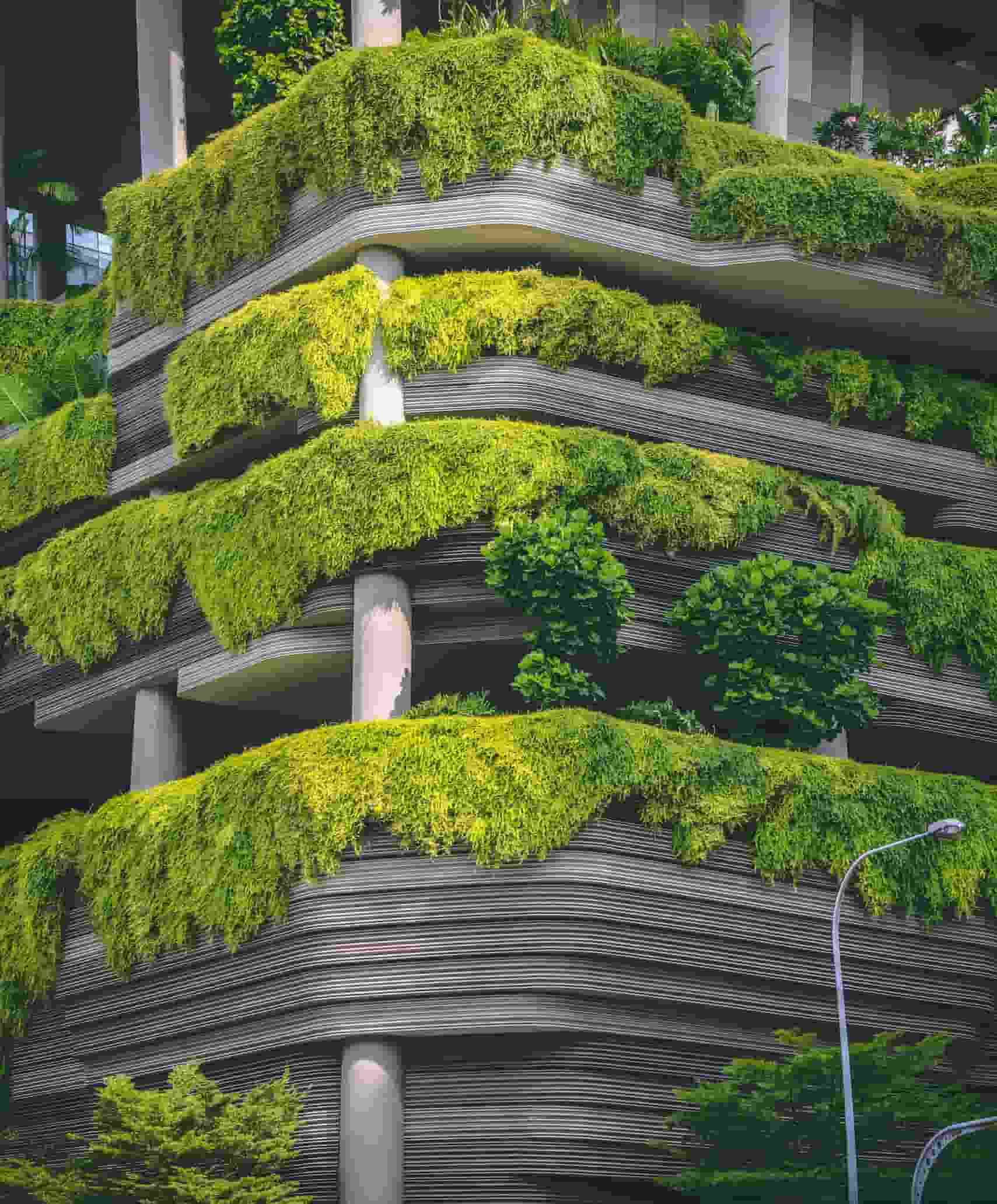 Smart city e sostenibilità urbana